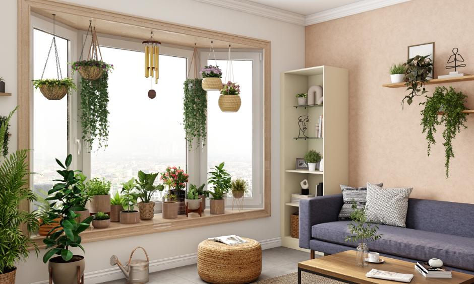 Making your Indoors Green and Serene